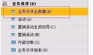 SAP業務伙伴欄目