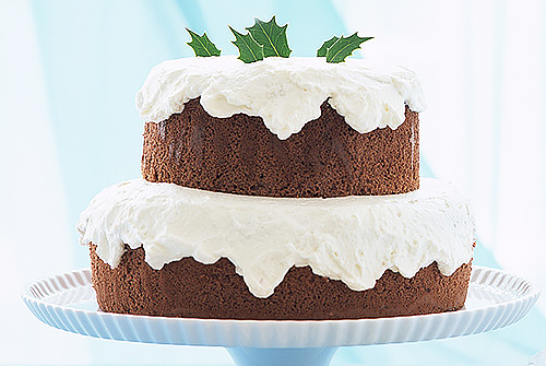 SAP零售烘焙成功案例|麥加樂(lè)